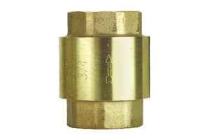 Клапан обратный Eura 2"