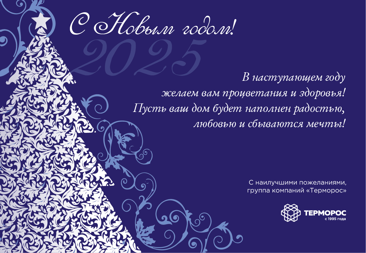 С наступающим Новым 2025 годом!